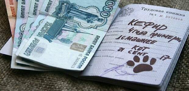 С такими документами в отделе кадров не заскучаешь! С такими документами в отделе кадров не заскучаешь!