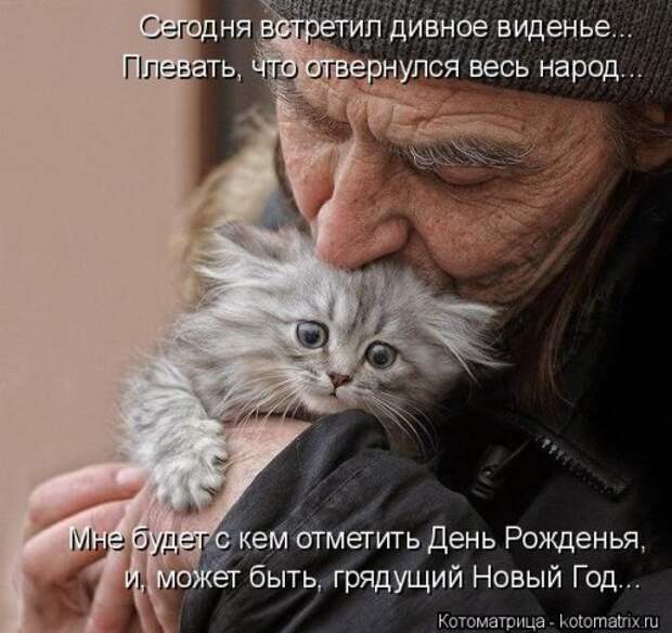 Котоматрица новая и прикольная (37 фото)