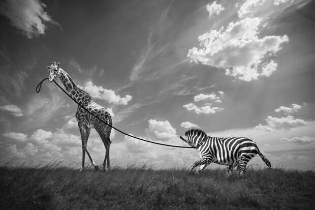 Фотограф из Парижа Томас Субтиль (Thomas Subtil).