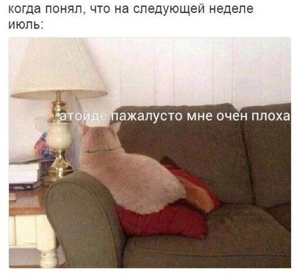 1467238297_86