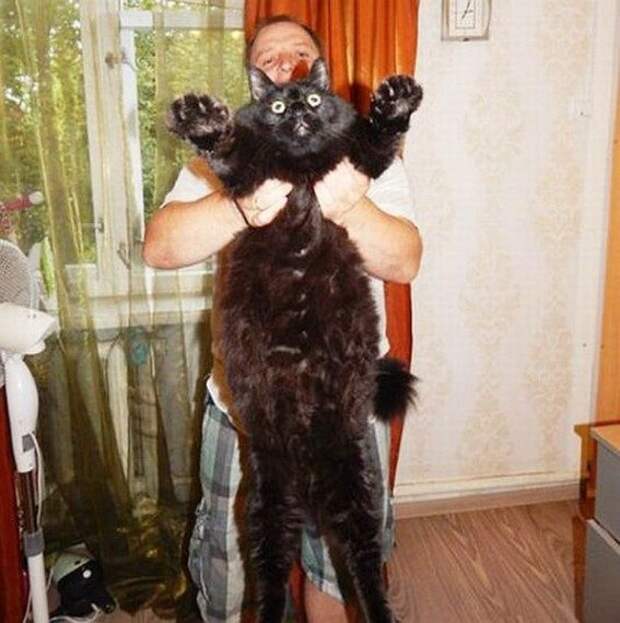 Фотоприколы и позитив