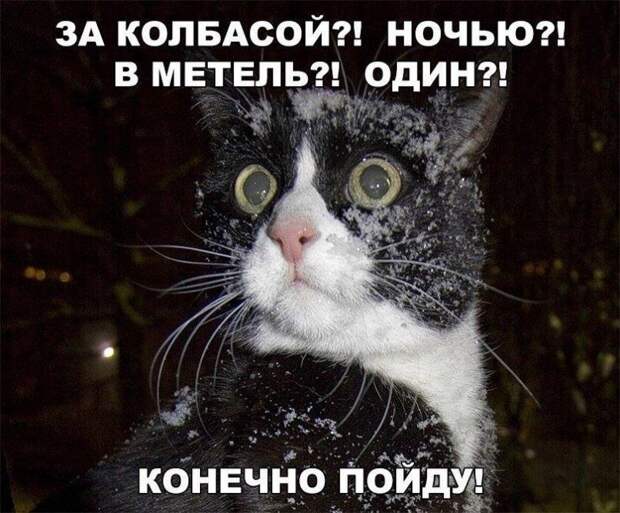 Эта подборка веселых и забавных историй подарит позитивный настрой на весь день!