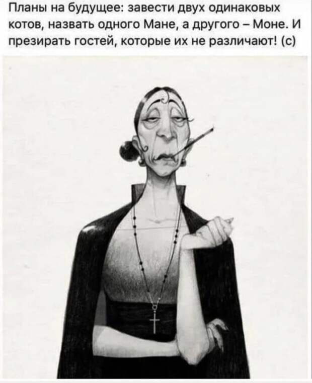 Лучшие шутки и мемы из Сети