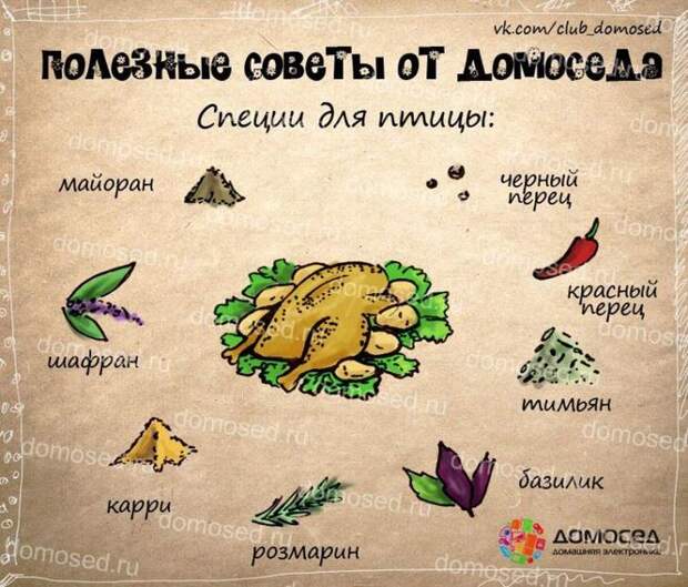 полезные советы от домоседа, полезные советы, советы на все случаи жизни