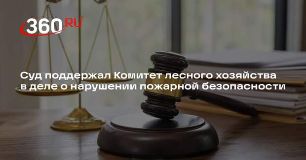 Суд поддержал Комитет лесного хозяйства в деле о нарушении пожарной безопасности
