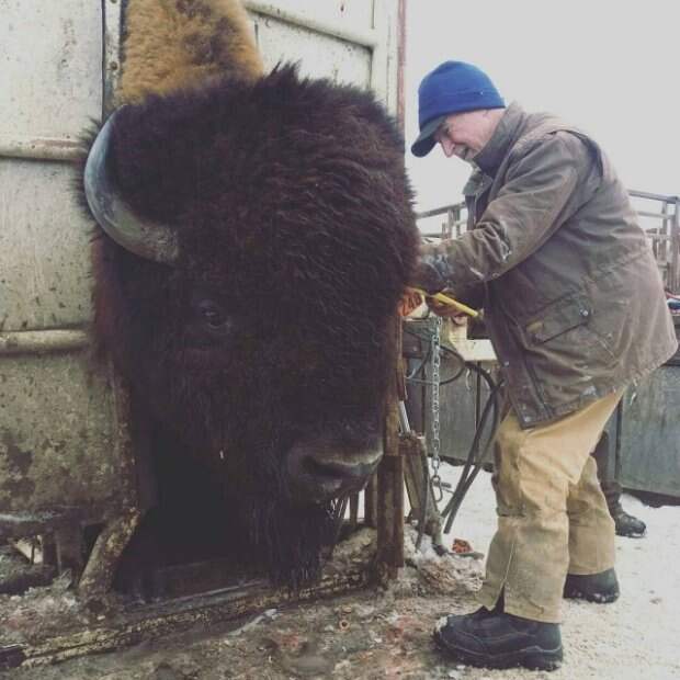 Прикольные картинки абавсём:D