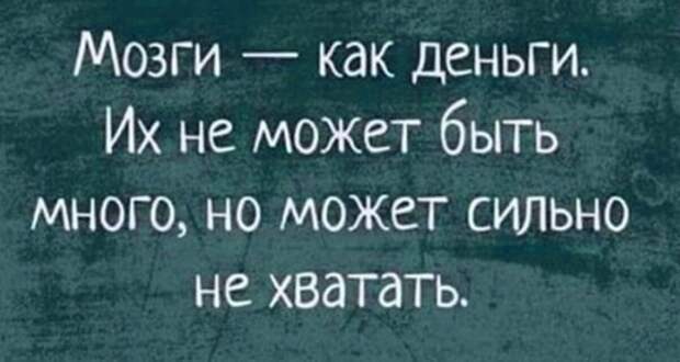 Истории и шутки для настроения