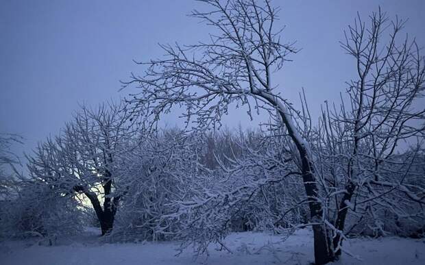 Рязанскую область 15 февраля ждет опасный температурный перепад