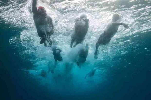 Юниоров из России допустили до турниров по водным видам спорта