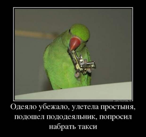 Демотиваторы, безумные и прикольные как всегда.