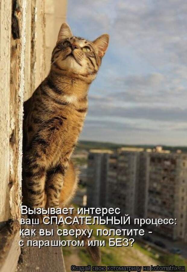 Мысли вслух :)
