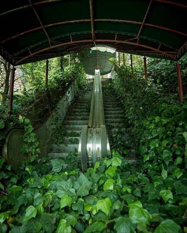Заброшенный эскалатор. \ Фото: google.com.ua. Заброшенный эскалатор. \ Фото: google.com.ua.