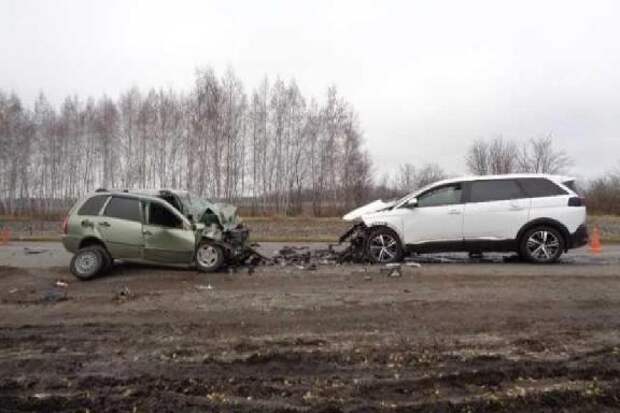 Тамбовчанина отправили на два года в колонию-поселение за смертельное ДТП