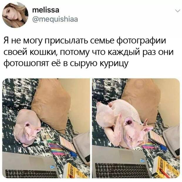 Наверняка батя постарался Наверняка батя постарался