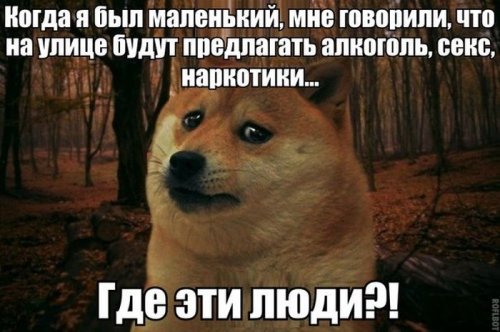 Смешные фотомемы (20 шт)