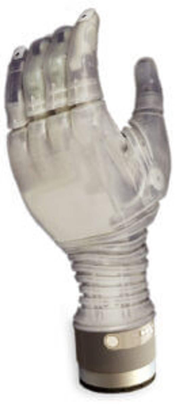 LUKE prosthetic hand neuroscience