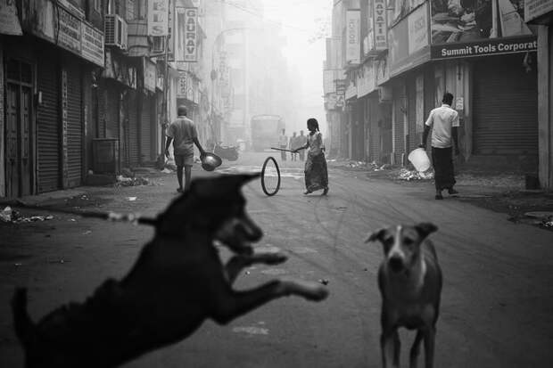 Индия глазами уличных фотографов. Фото: Arun R