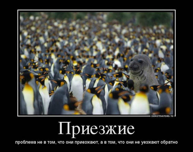 Демотиваторы и мотиваторы. Демотиваторы и веселые картинки_22-01-2013