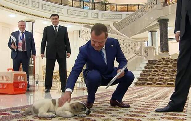 Как у Путина! Медведеву сделали оригинальный подарок