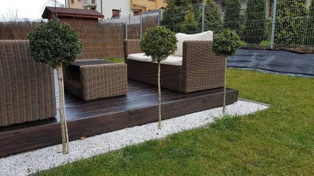 Какие растения посадить вокруг террасы?