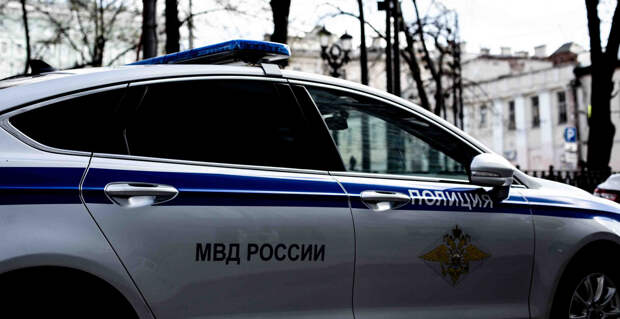 МВД: в Челябинске задержали мужчину, вышедшего с мачете на детскую площадку