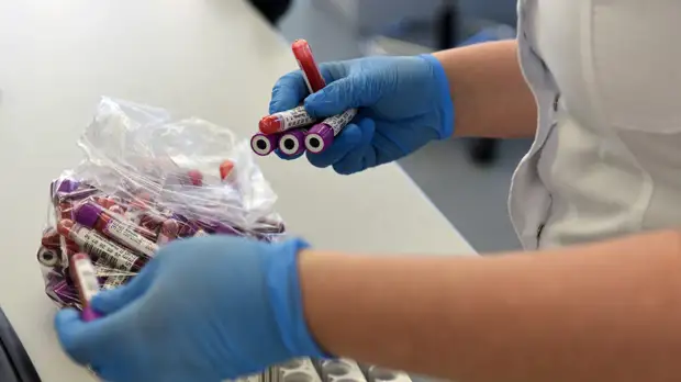 Вирусолог Альтштейн дал прогноз по ситуации с распространением «омикрона» в России