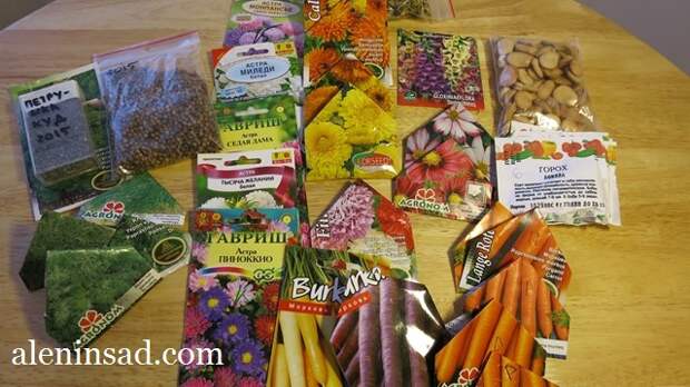 аленин сад, семена, сорта укропа, моркови, календулы, бобов, астры, кориандра, петрушки, для посева в апреле, в открытый грунт, холодостойкие сорта, культуры