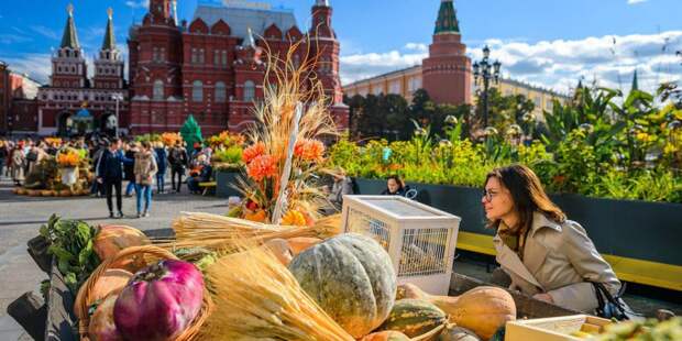В рамках «Золотой осени» пройдут увлекательные экскурсии по Москве. Фото: mos.ru
