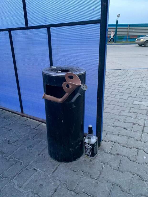 Так много вопросов...