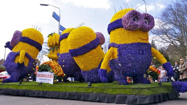 парад цветов в Нидерландах