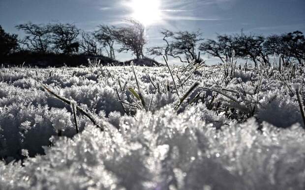 frozen03 Самые красивые фотографии морозной зимы