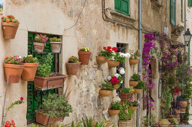 Город тысячи цветочных горшков