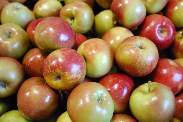 Вощение яблок не наносит вреда здоровью. /Фото: blog.brothersallnatural.com