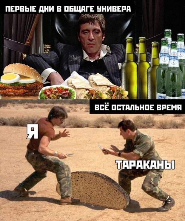 Безумие, которое творится в студенческих общежитиях