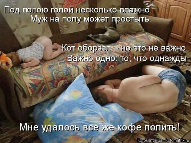 Лучшие котоматрицы недели (50 фото)