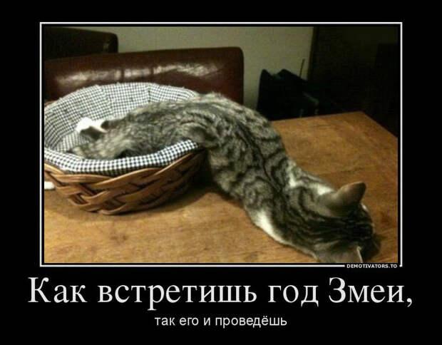 Демотиваторы и мотиваторы. Демотиваторы и веселые картинки_22-01-2013
