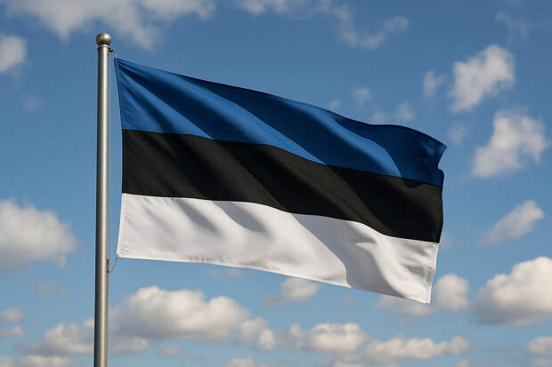 Эстония закрыла небо у границы — полеты ограничены из-за дронов