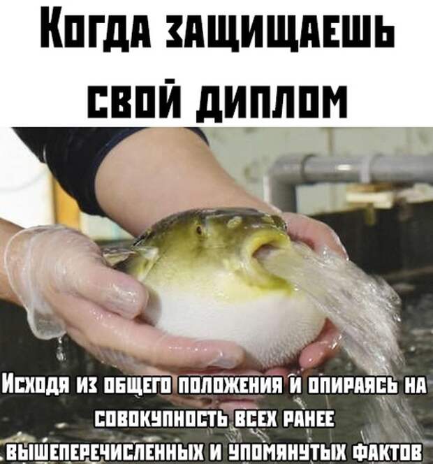 Эх , как давно это было ....