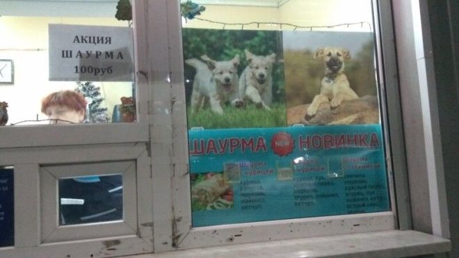 Пёс да лис: спорный маркетинг, за который скоро будут сажать Пёс да лис: спорный маркетинг, за который скоро будут сажать вывеска, дизайн, маркетинг, прикол, россия, торговля, юмор