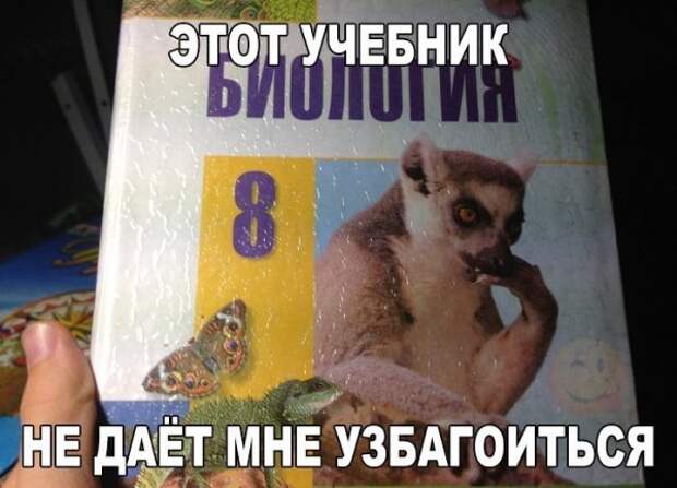 ПОЗИТИВНЫЙ ПОСТ+203