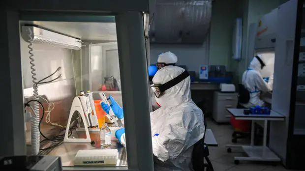 «Без значимых изменений»: центр «Вектор» заявил об отсутствии угрозы в российских штаммах коронавируса