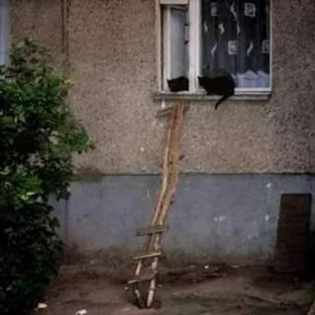 Строительные приколы ошибки и маразмы. Подборка chert-poberi-build-chert-poberi-build-30300614122020-16 картинка chert-poberi-build-30300614122020-16