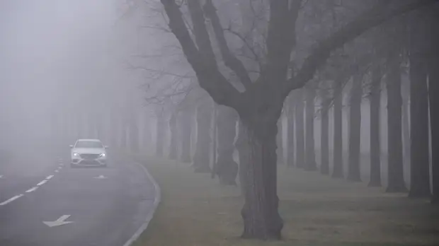 «Никакого человеческого воздействия тут нет»: синоптики оценили происхождение тумана в Московском регионе