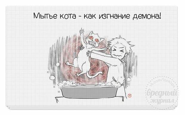 fullsize.jpg