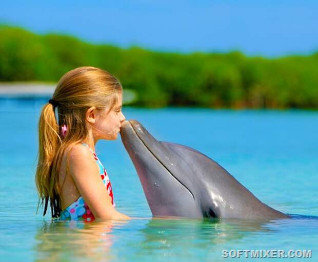 People_Entertainment_and_recreation_Girl_and_Dolphin_035480_