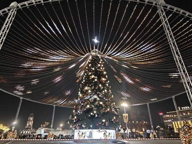 Елка на площади Ленина в Туле простоит до 1 марта