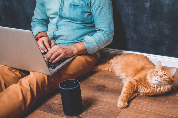 Искавший в интернете информацию россиянин получил 12 лет колонии