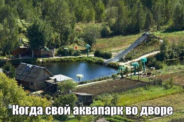картинки