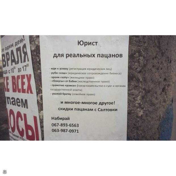 Смешные объявления, надписи, вывескм 11