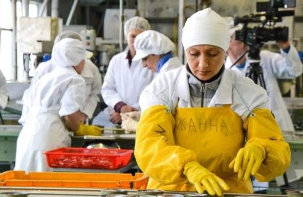 Променяли Польшу: украинцы разъезжаются в более выгодные страны для заработков